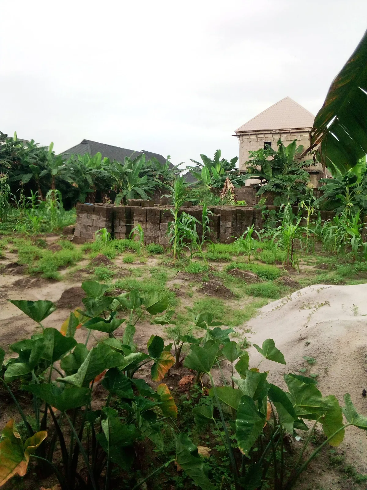 Kristas properties photo 2