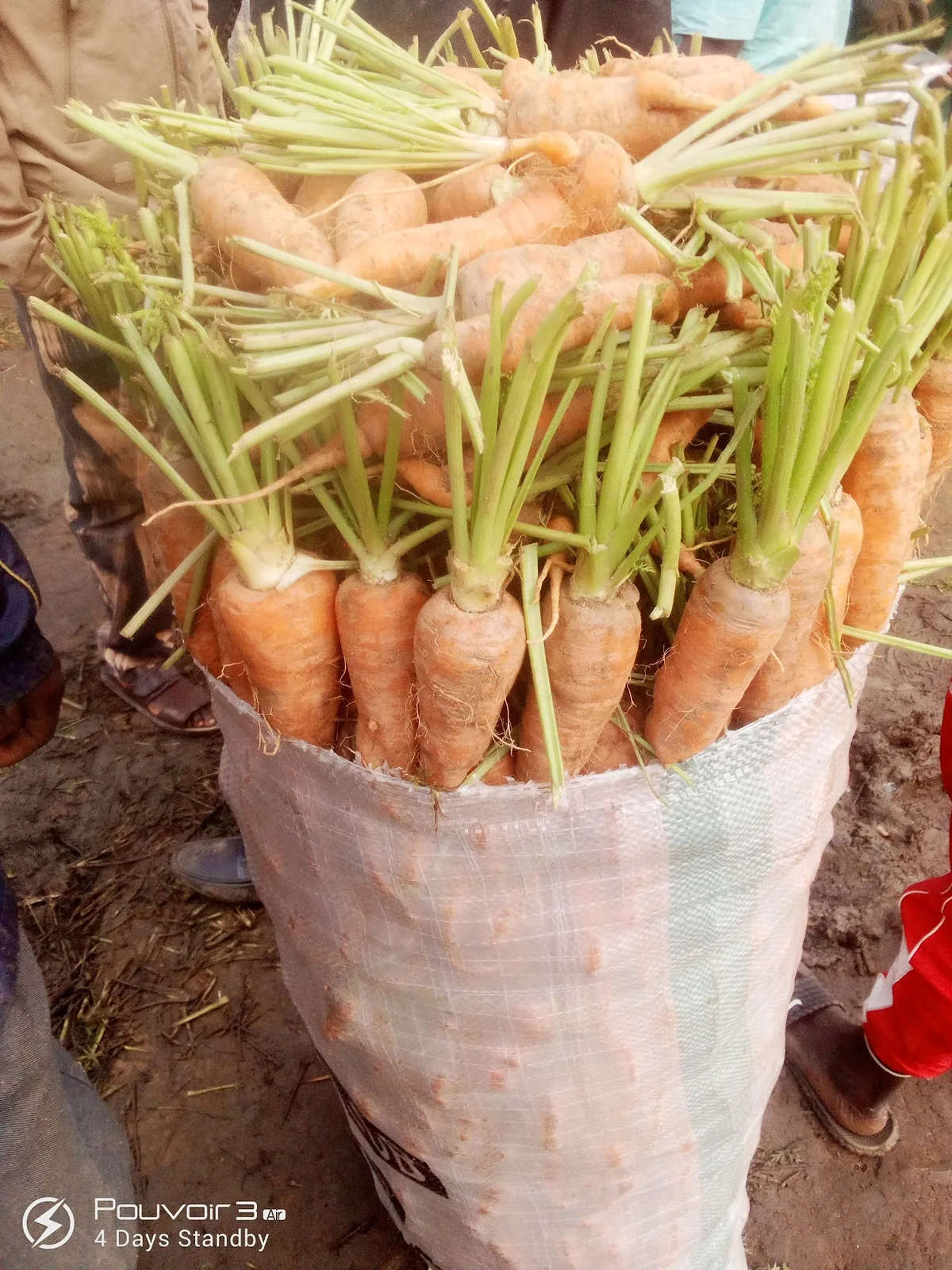 Market — photo