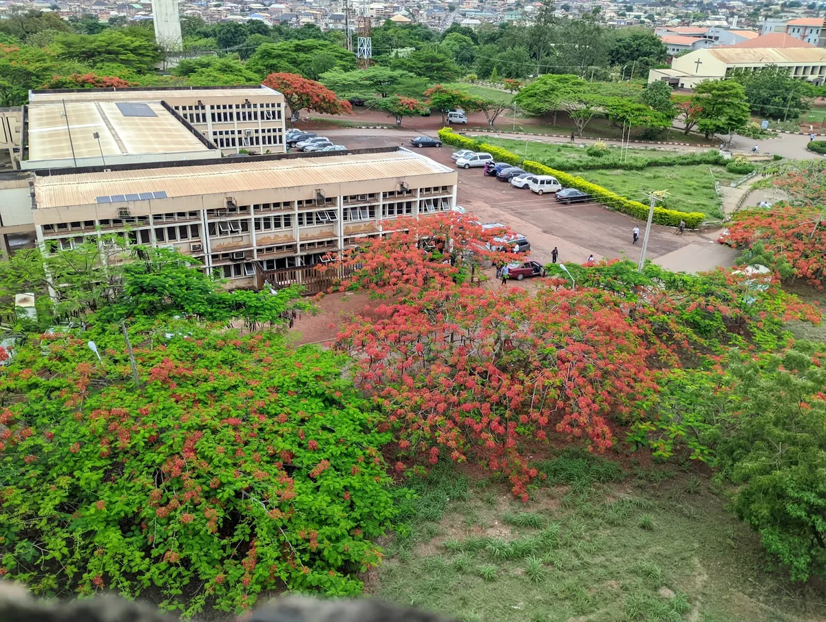 university of Nigeria Enugu campus — photo