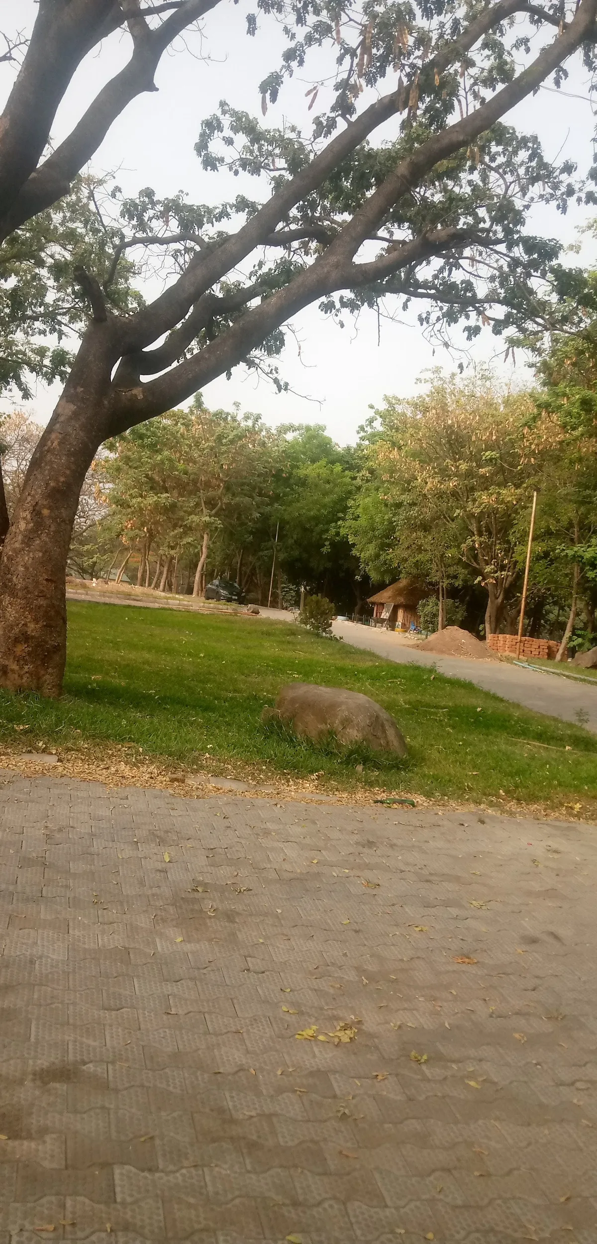 City Park wuse 2 — photo