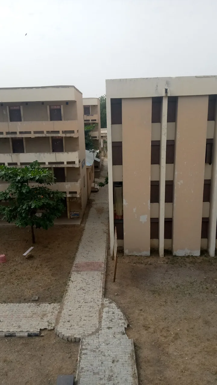 BUK Old Campus Main Gate photo 4