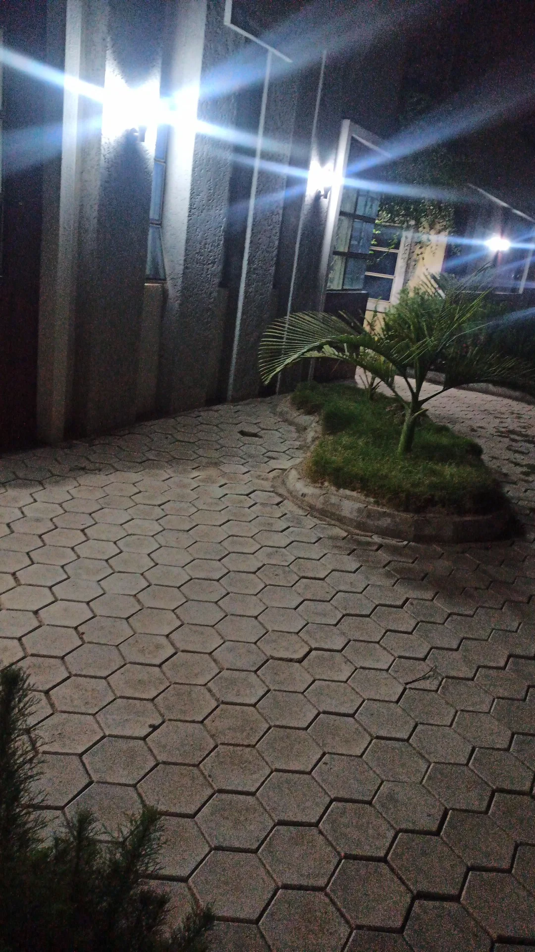 BUK Old Campus Main Gate photo 6