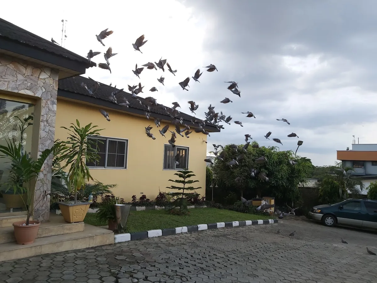 Check Inn Hotel — photo