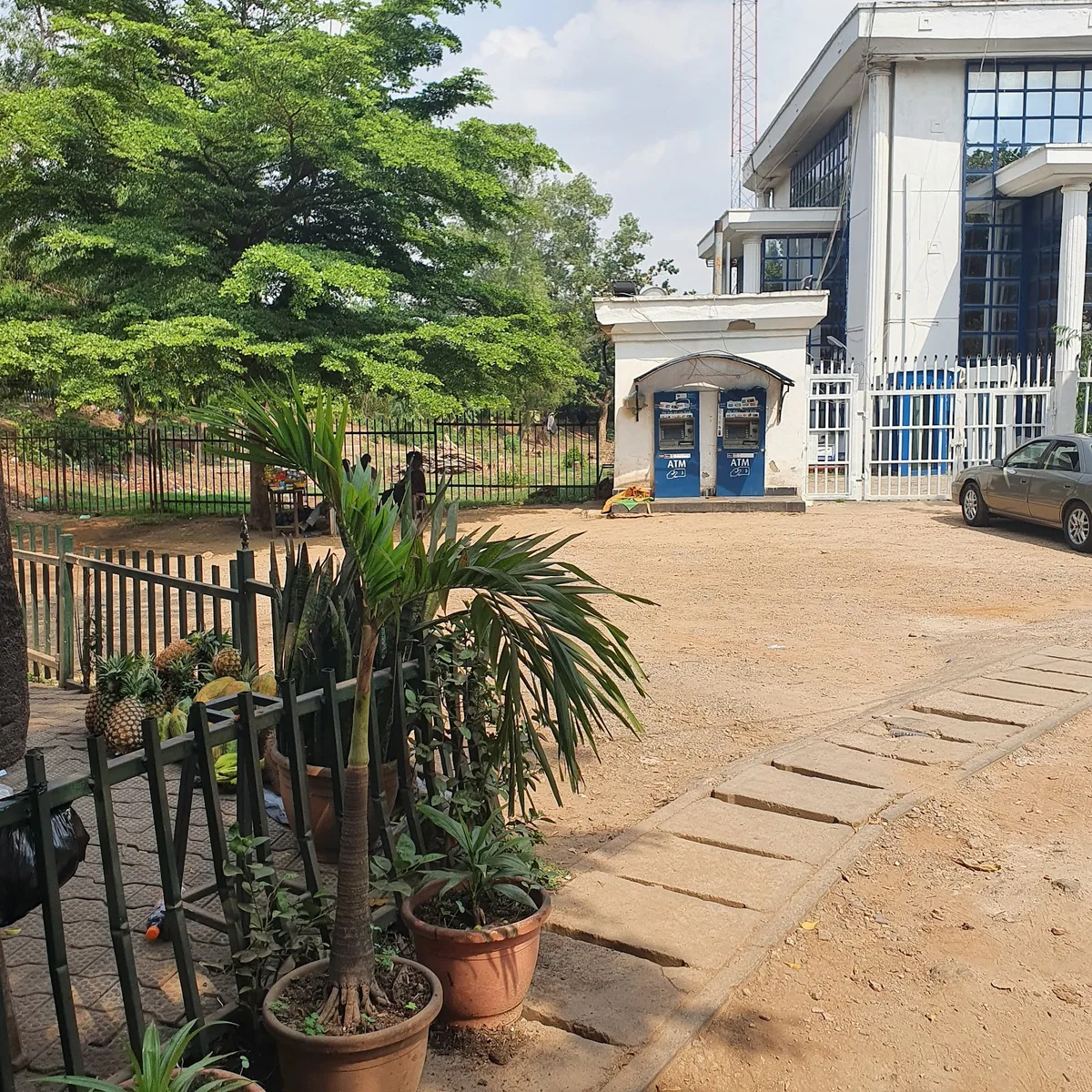 University Of Suya — photo