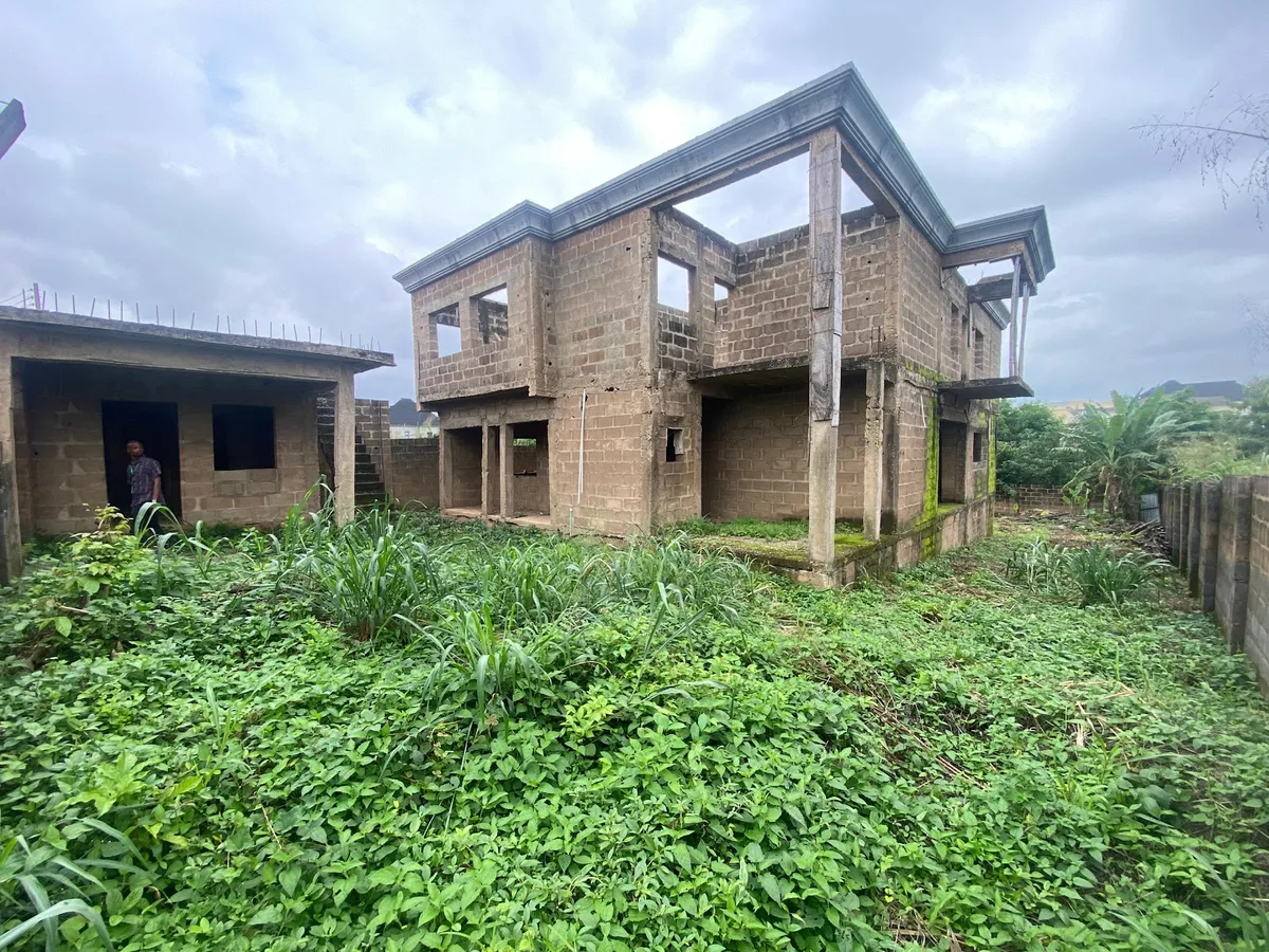 Odiana Homes and Properties Ltd. photo 6