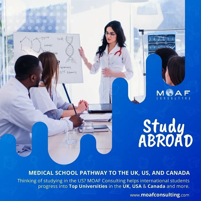 MOAF Consulting photo 2