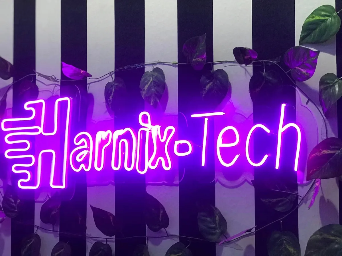 Harnix - Tech – Web Design & Software Development Company in Lagos — photo
