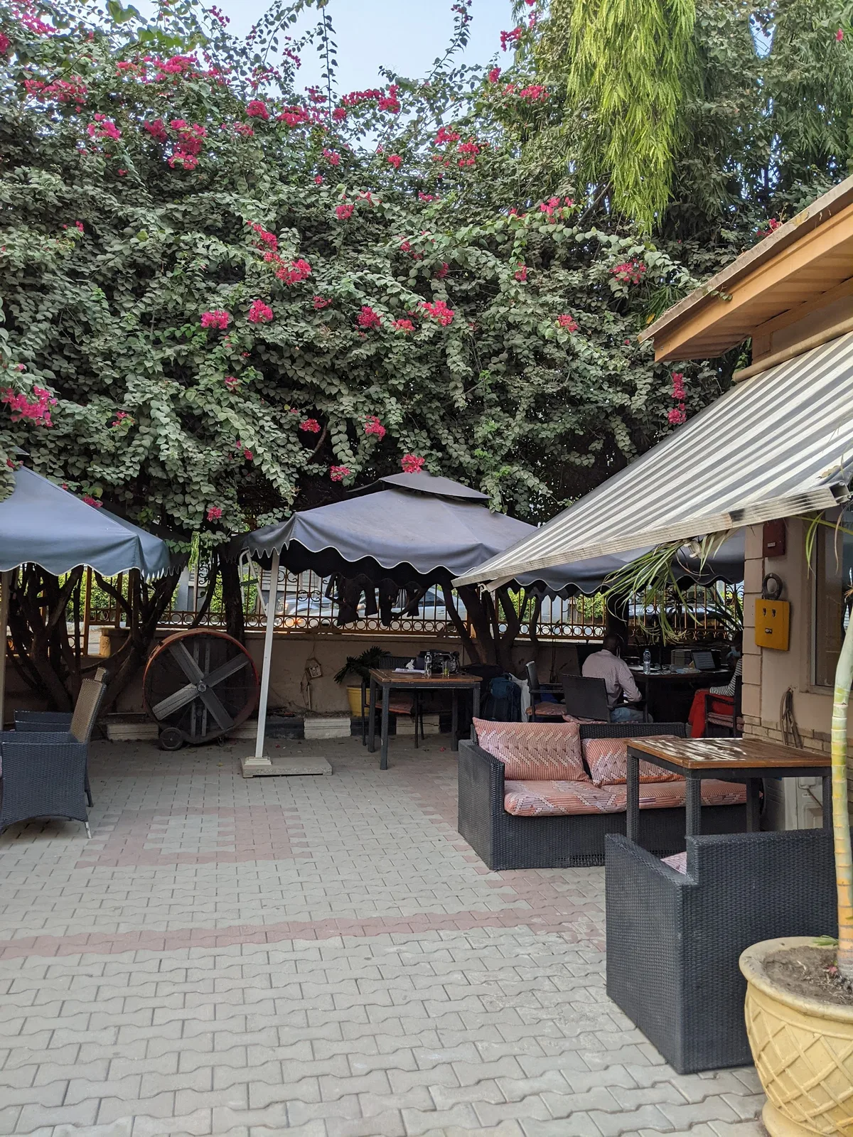 Salamander Cafe — photo