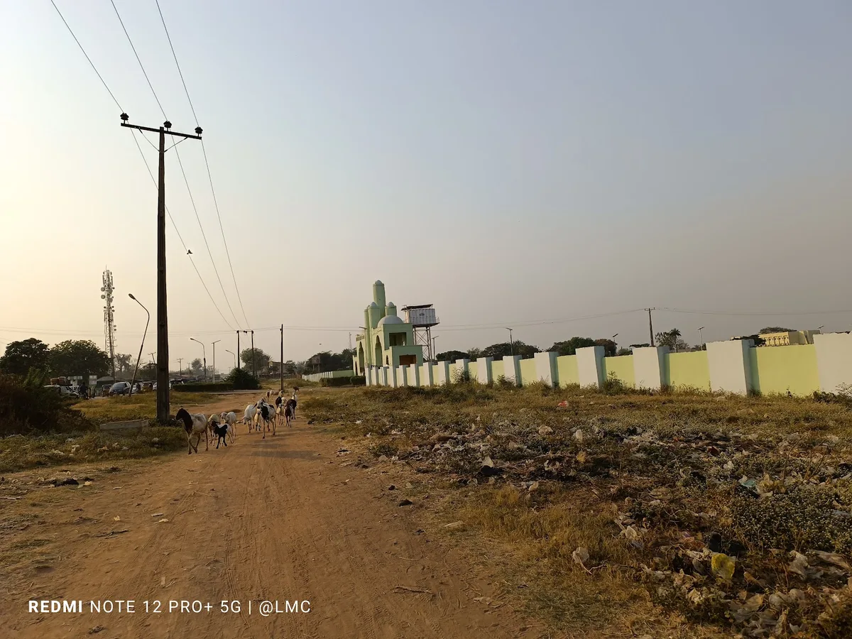 Muhammad Kamalud-deen University, Ilorin — photo