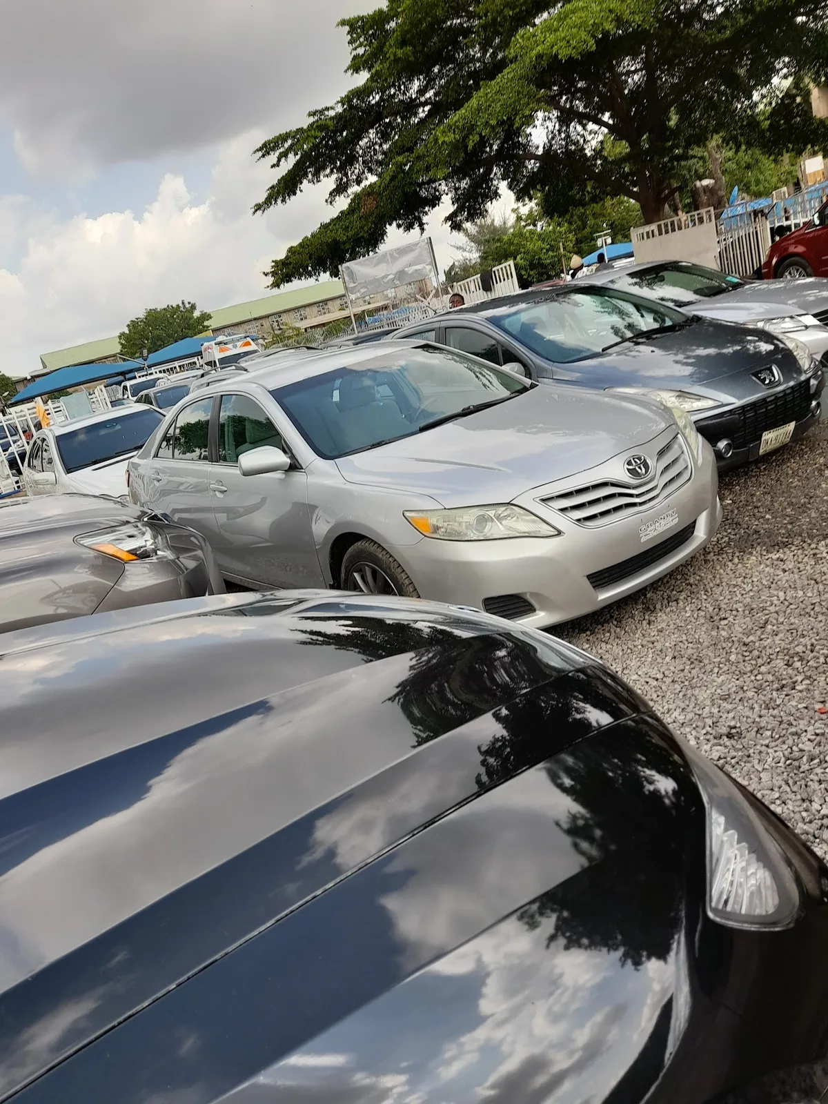 Miyetti Automobiles photo 2