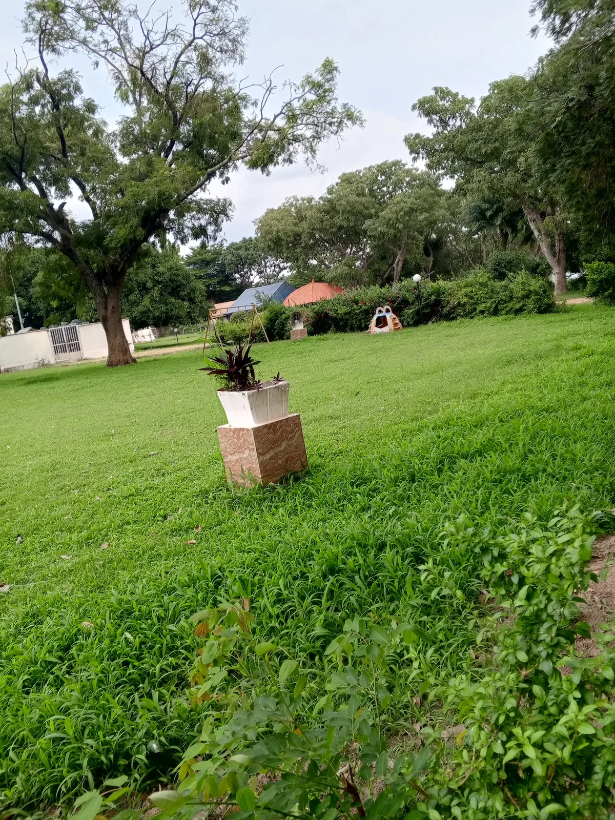 Succoth Valley Garden Enterprise — photo