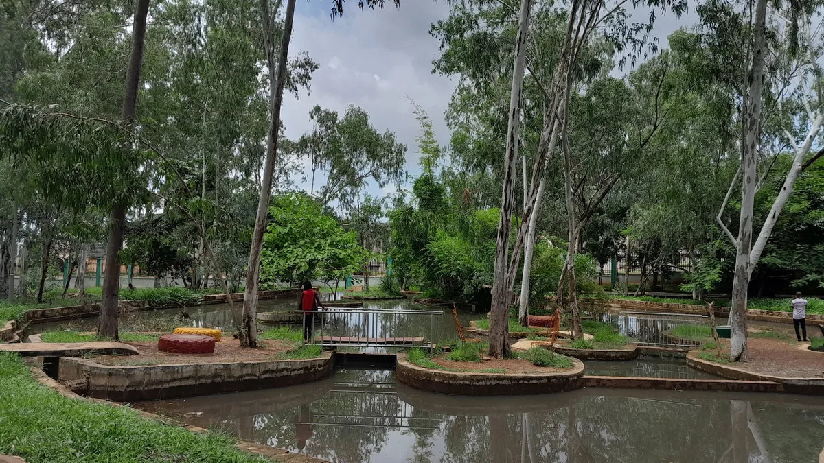 Unity Park — photo