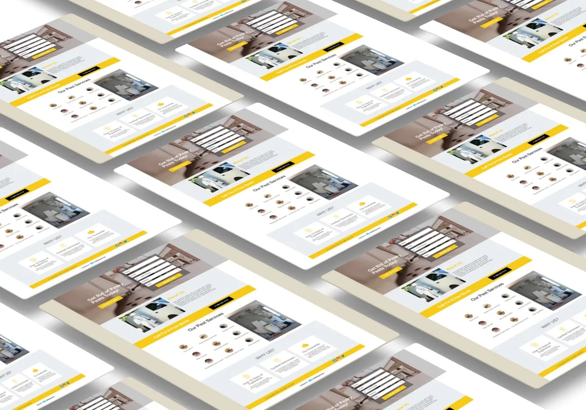 Dignityworlddesign | The Best Web Design Company, WordPress Developer | Digital Marketing Company — photo