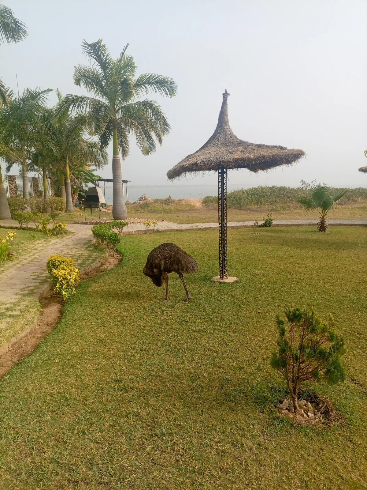 Minjibir Park — photo