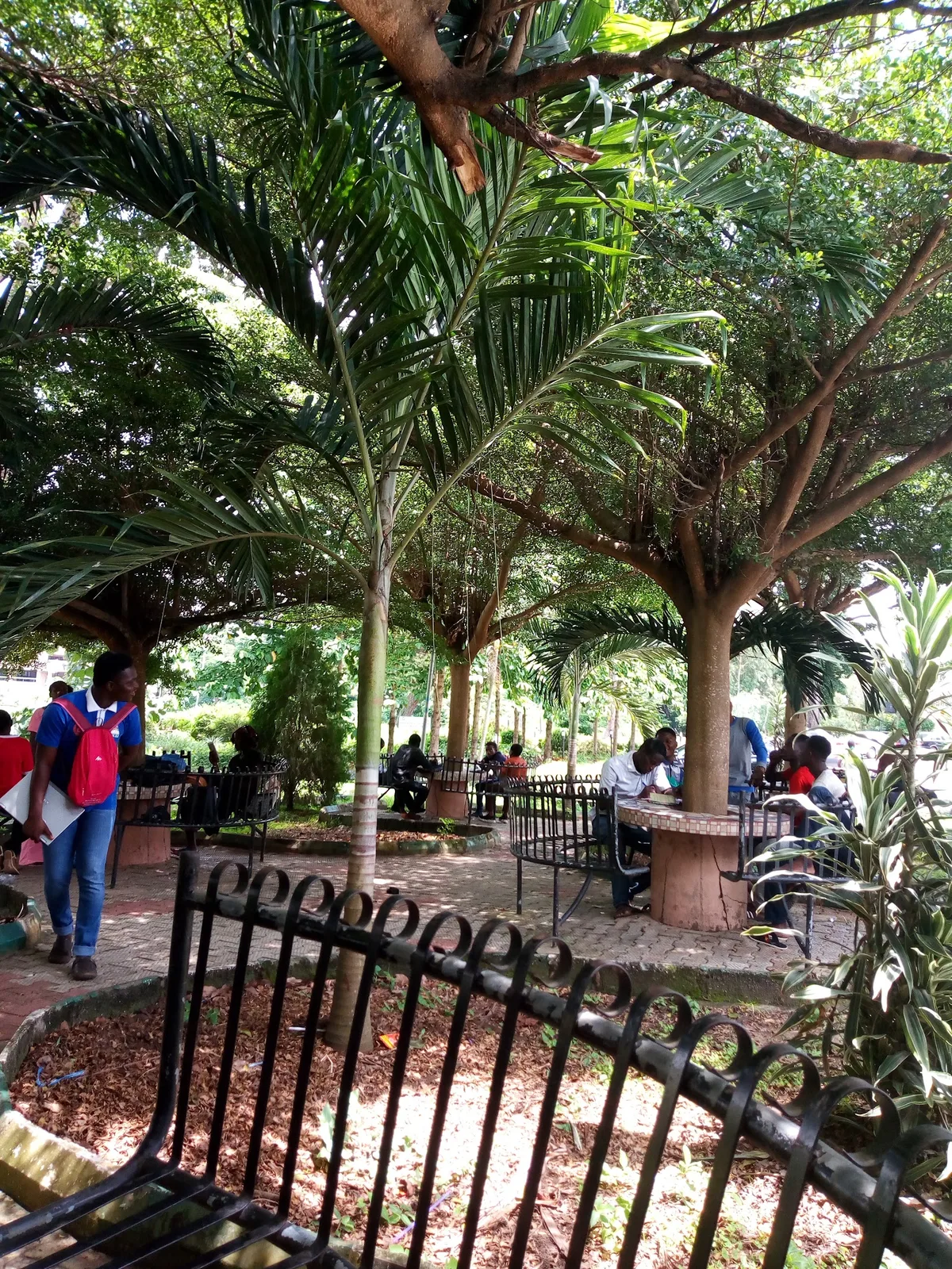 Tree Club Park — photo