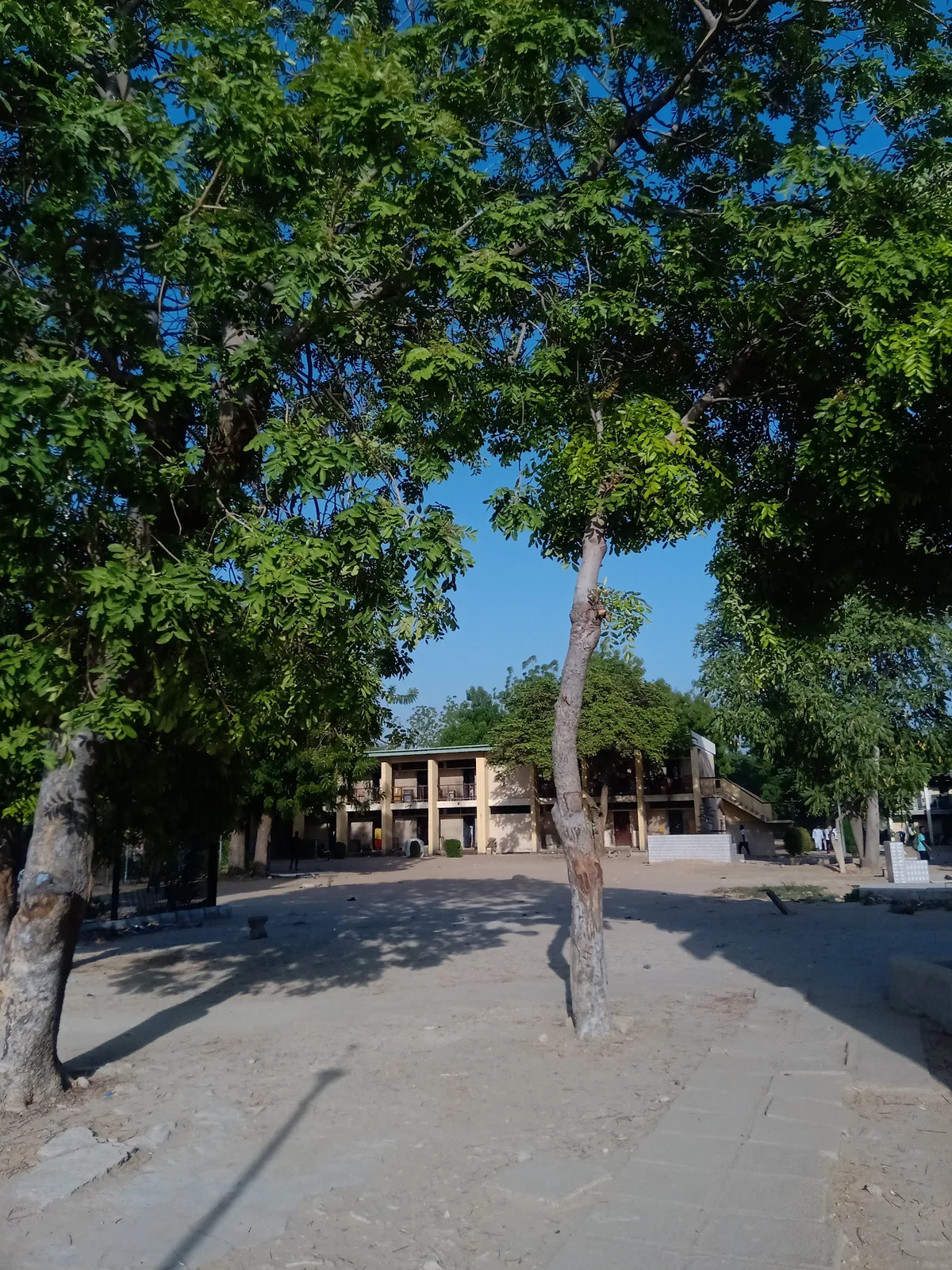 Unimaid — photo