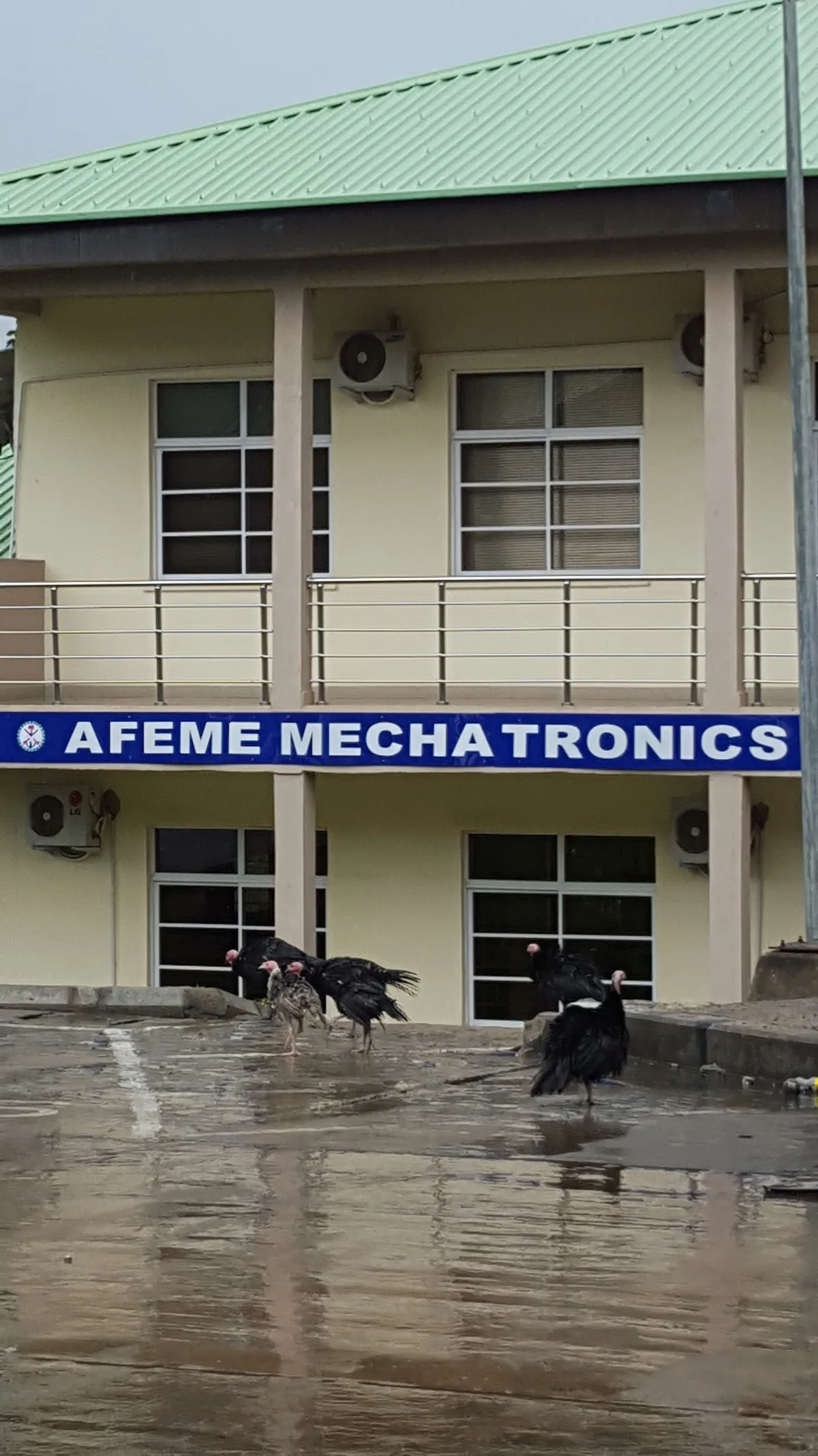 AFEME Workshop, Abuja — photo