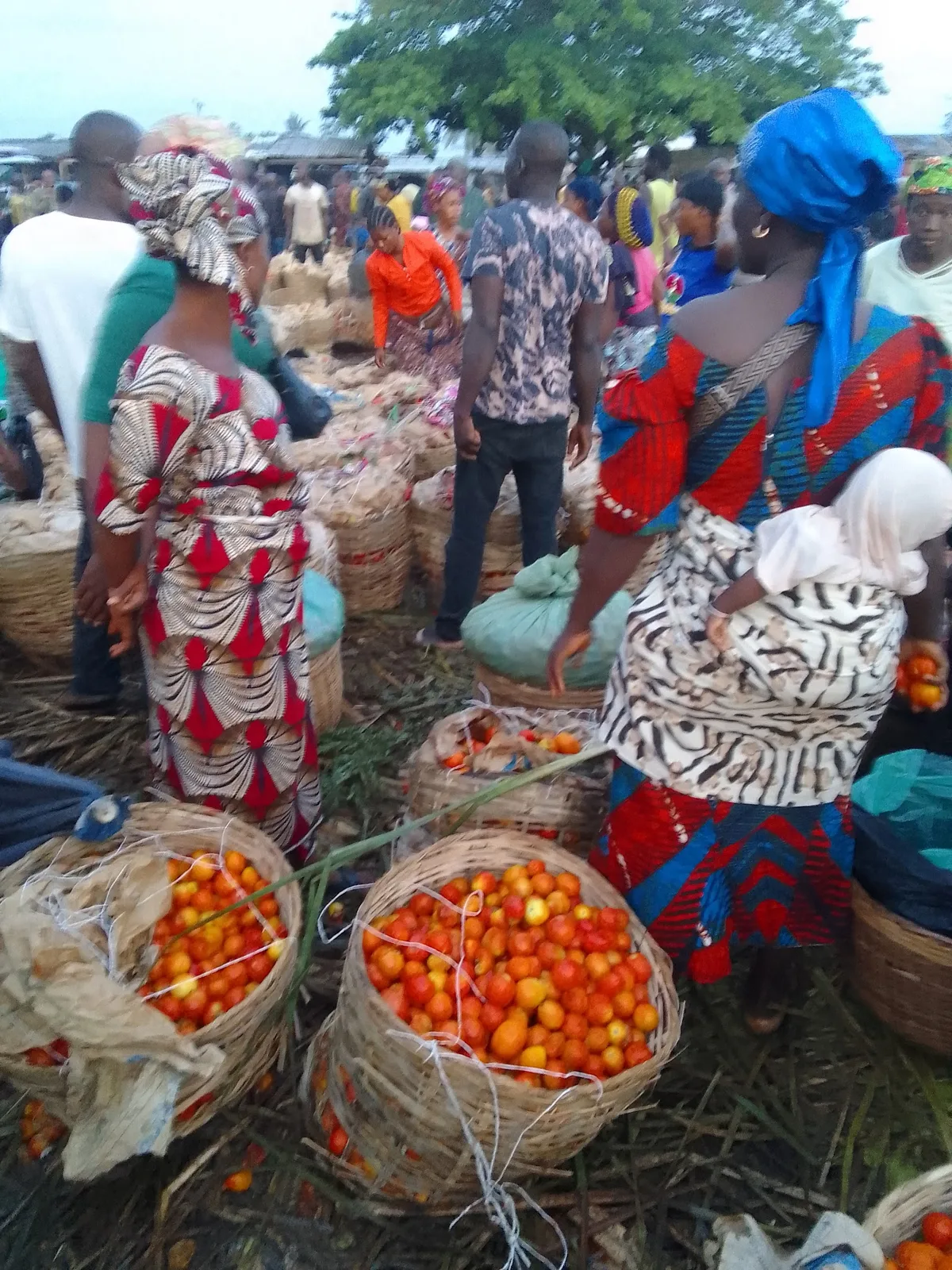 Warri cheap market — photo