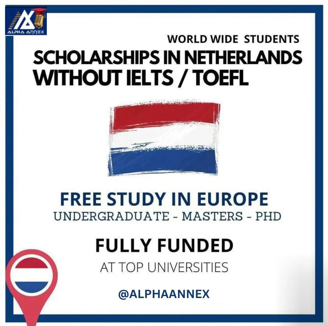 Alpha Annex Immigration photo 5