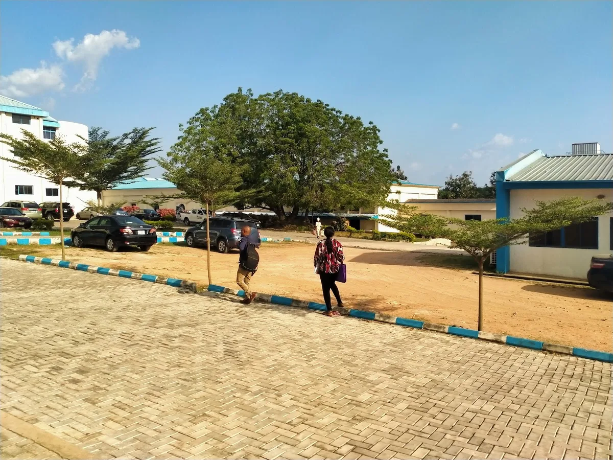 Lead City University photo 5