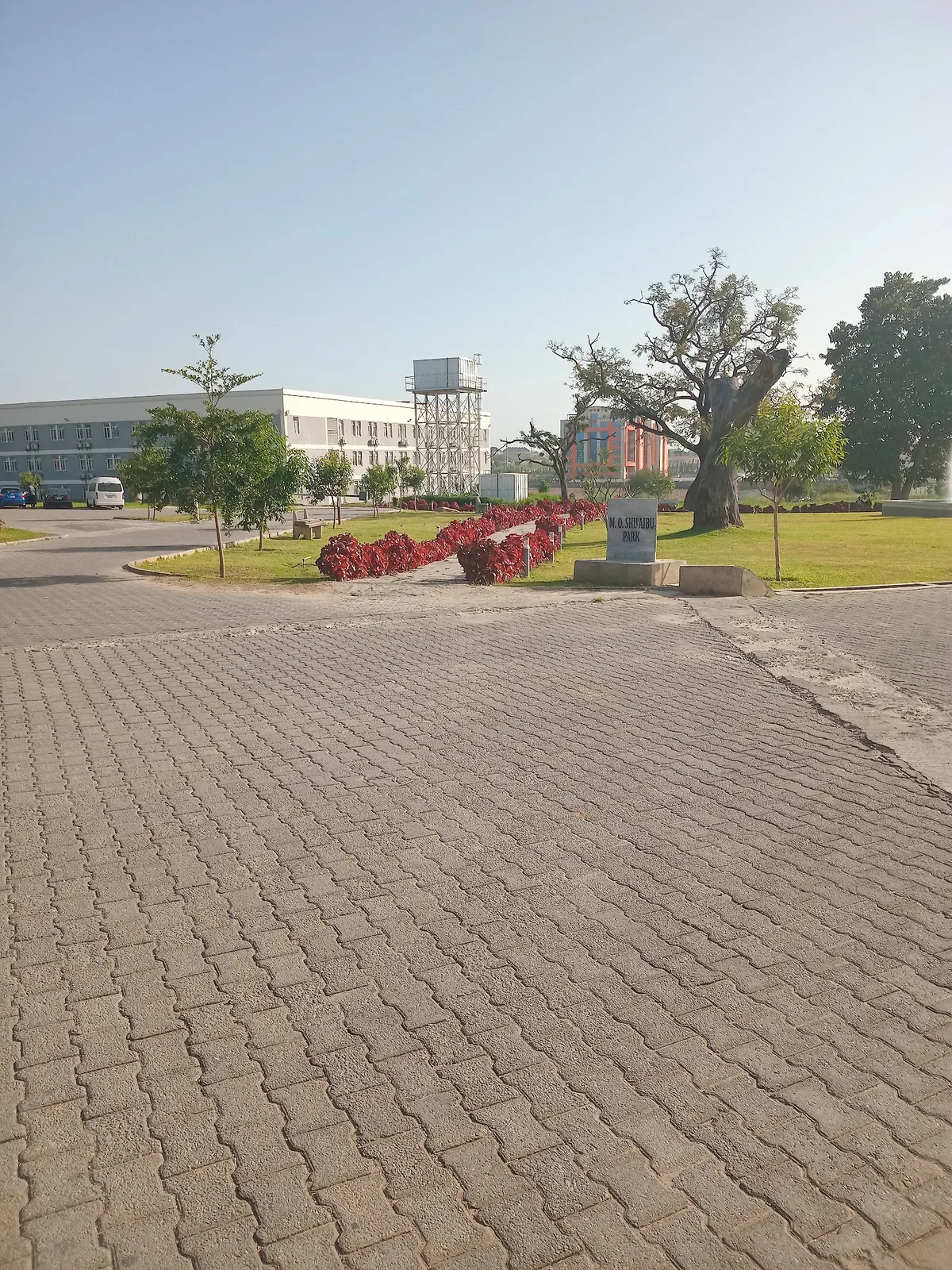 Baze University photo 6