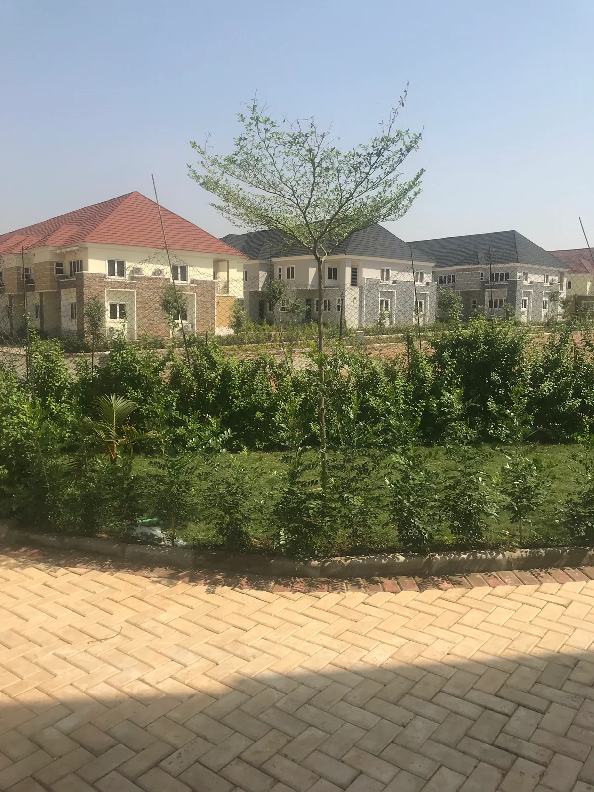 Hall 7 Real Estate — photo