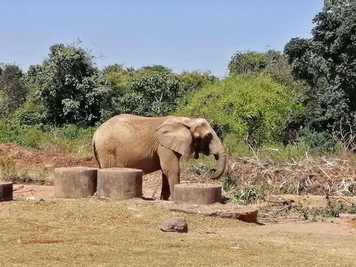 Jos Wildlife Park — photo