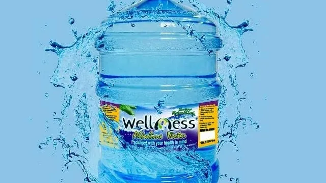 Wellness Alkaline Water — photo