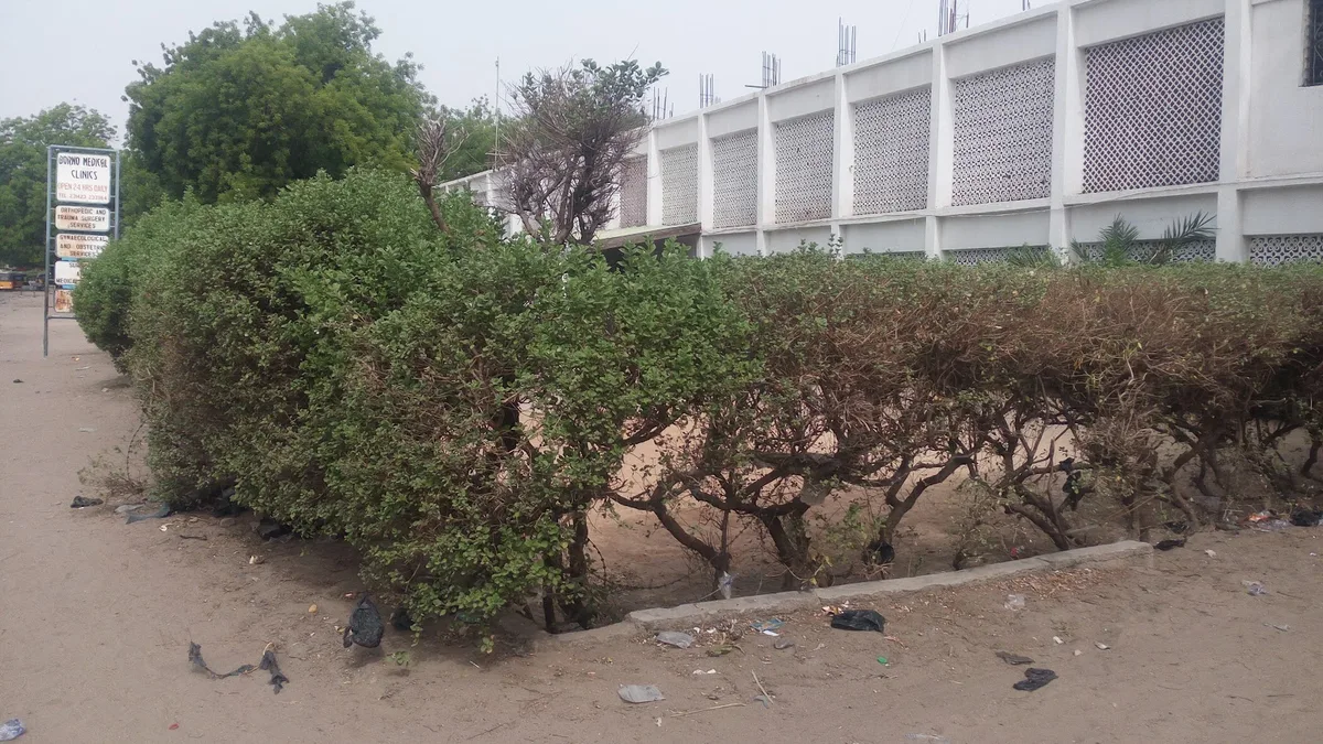Borno Medical Clinic — photo