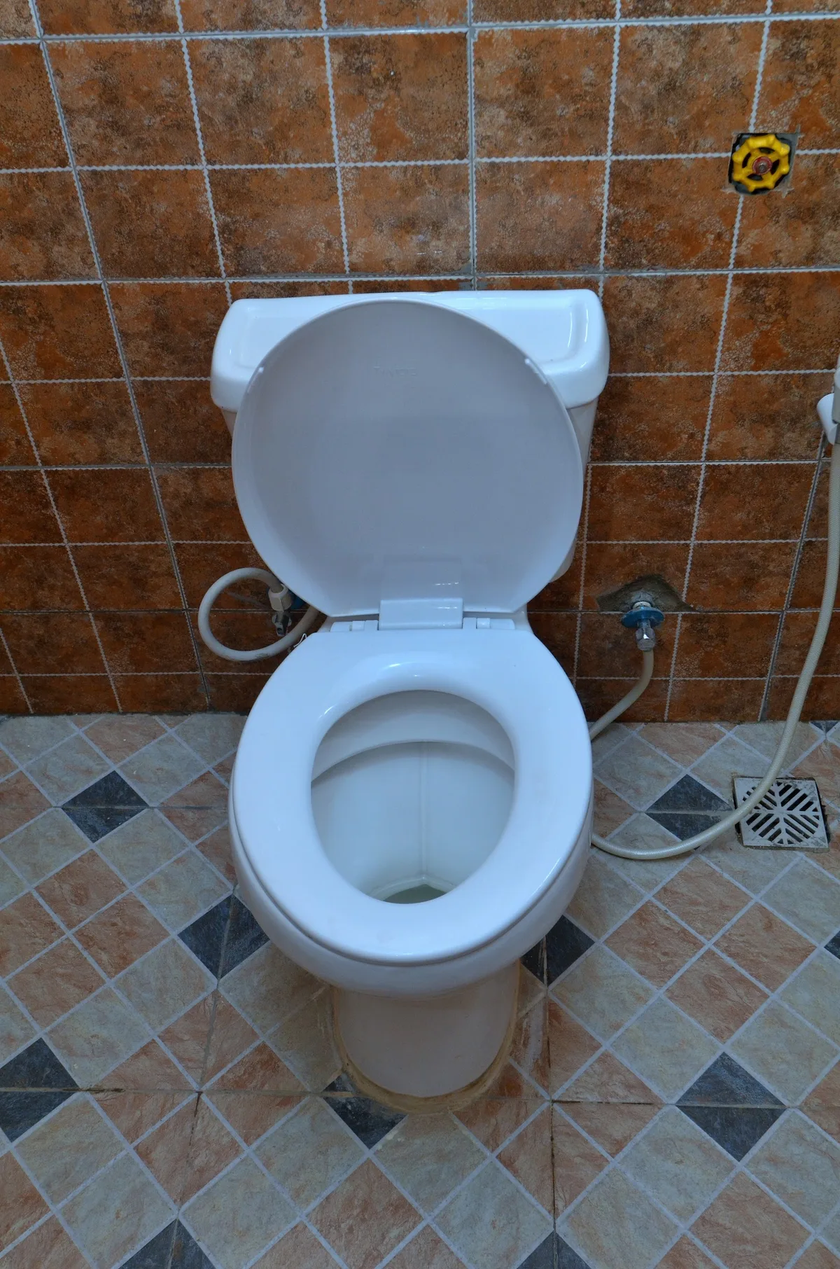 Delad Hotel and Suites photo 3