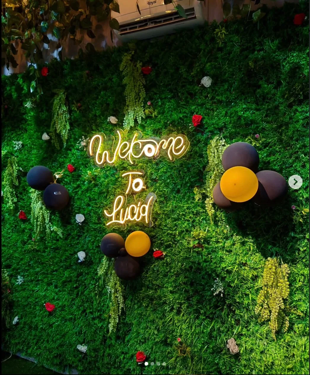Lucid Lounge — photo