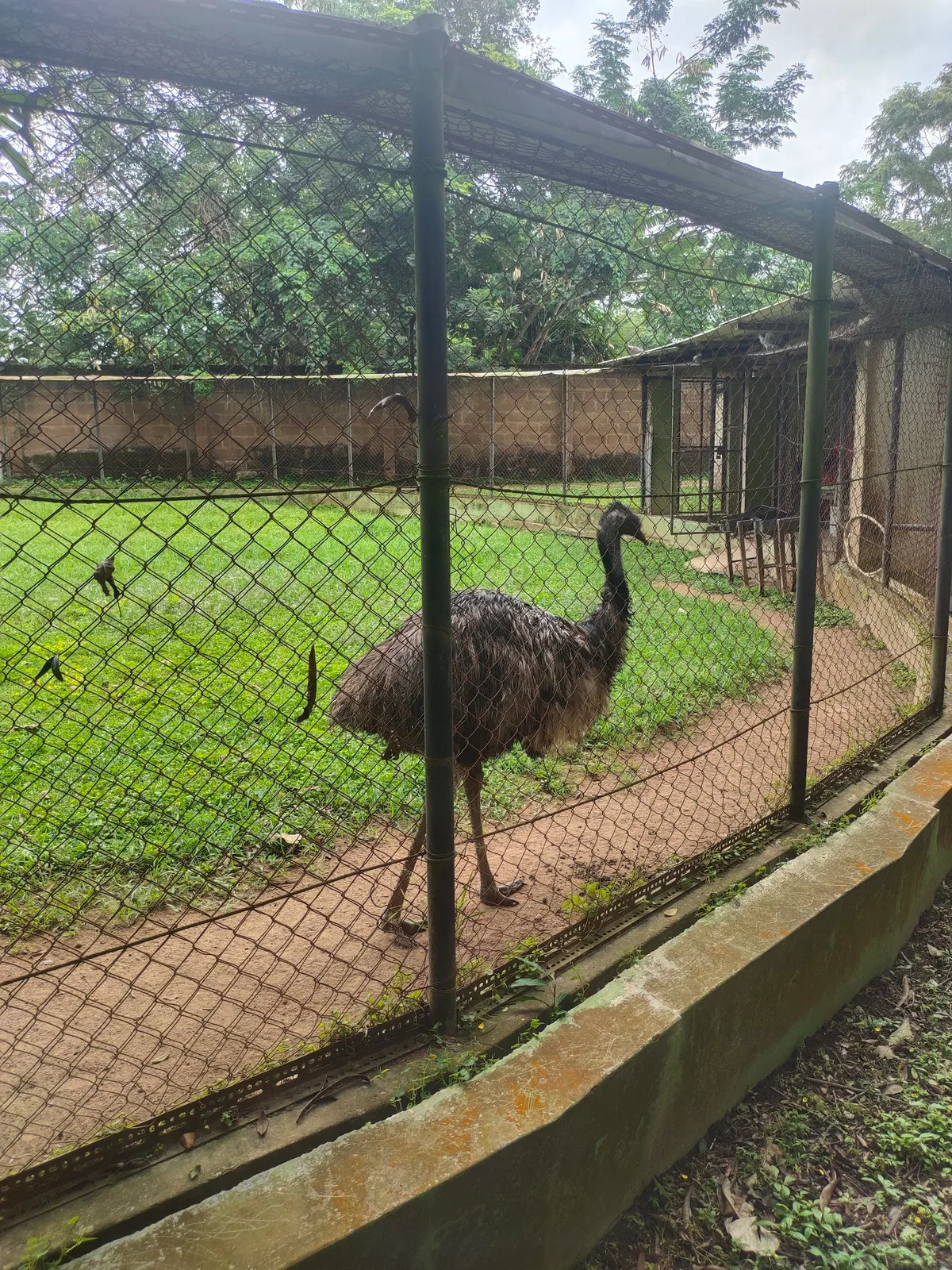 University of Ibadan, Zoological Garden photo 2