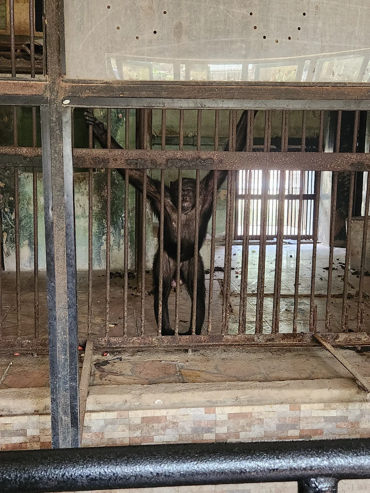 University of Ibadan, Zoological Garden photo 3