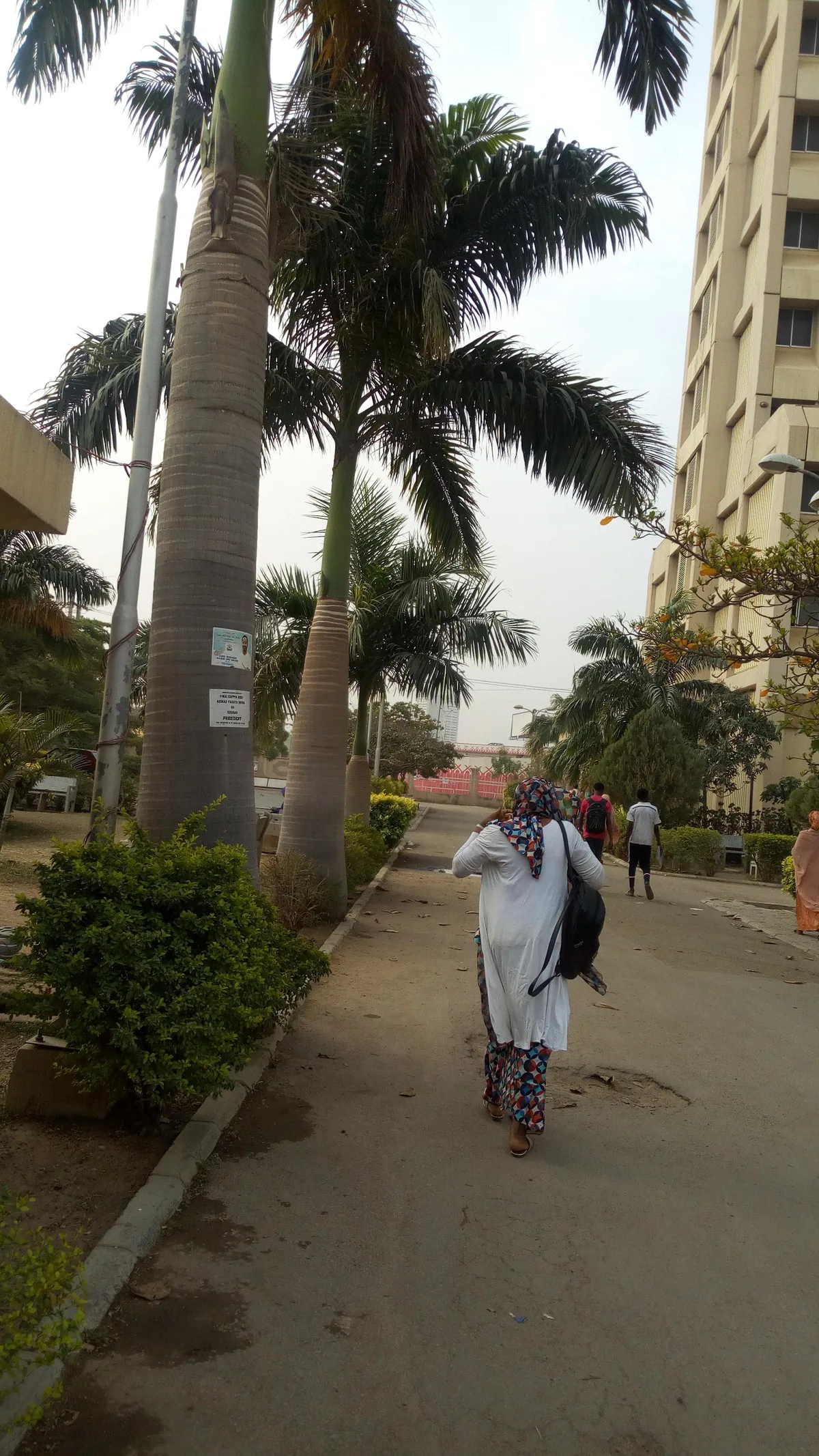 Northwest University Kano Permanent Site photo 5