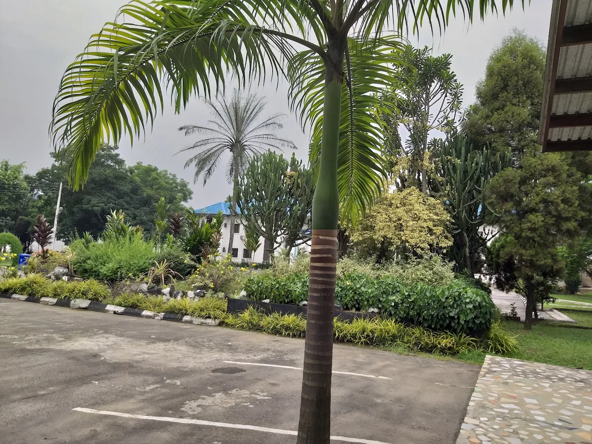 Pamo University Of Medical Sciences photo 5