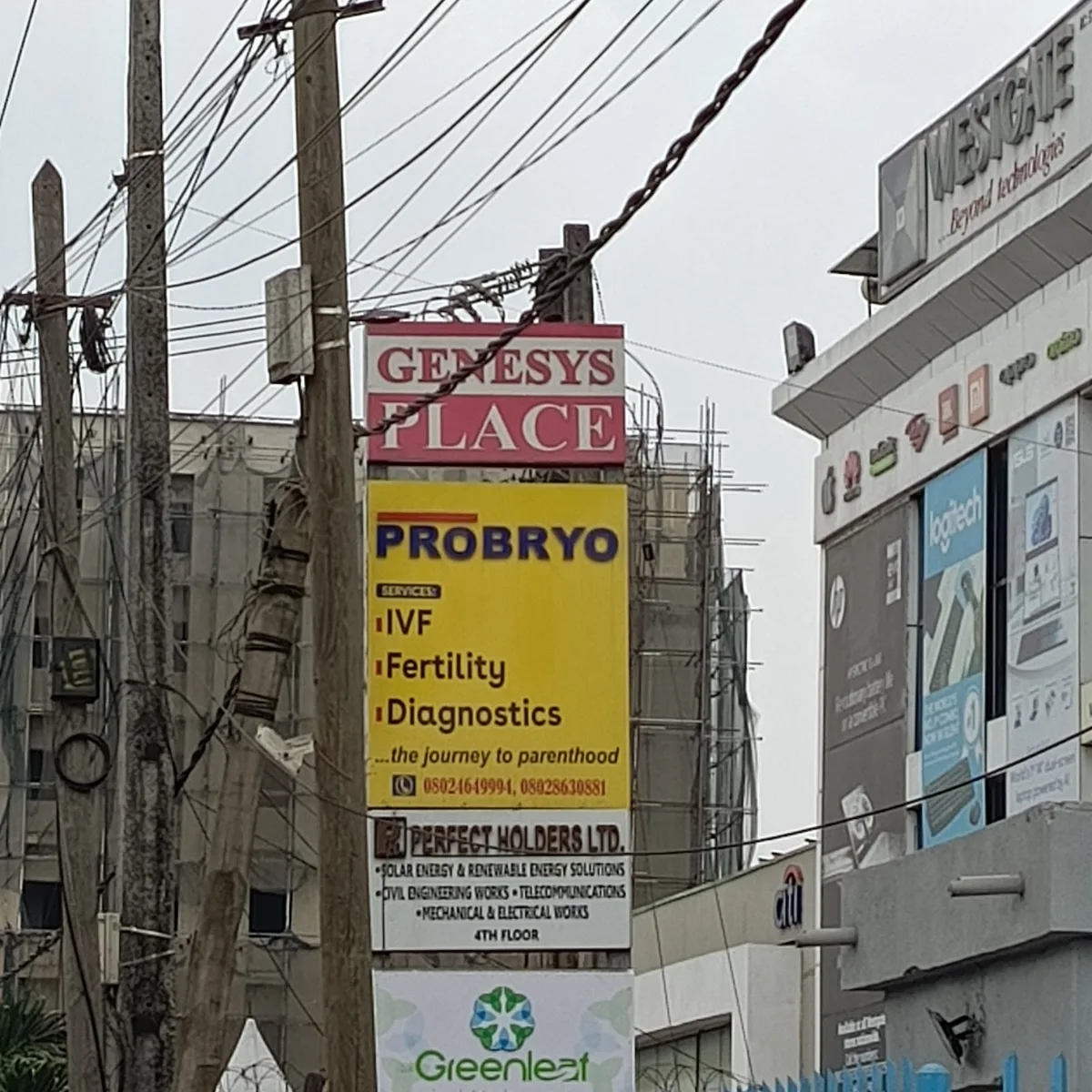 Probryo Fertility Clinic photo 5