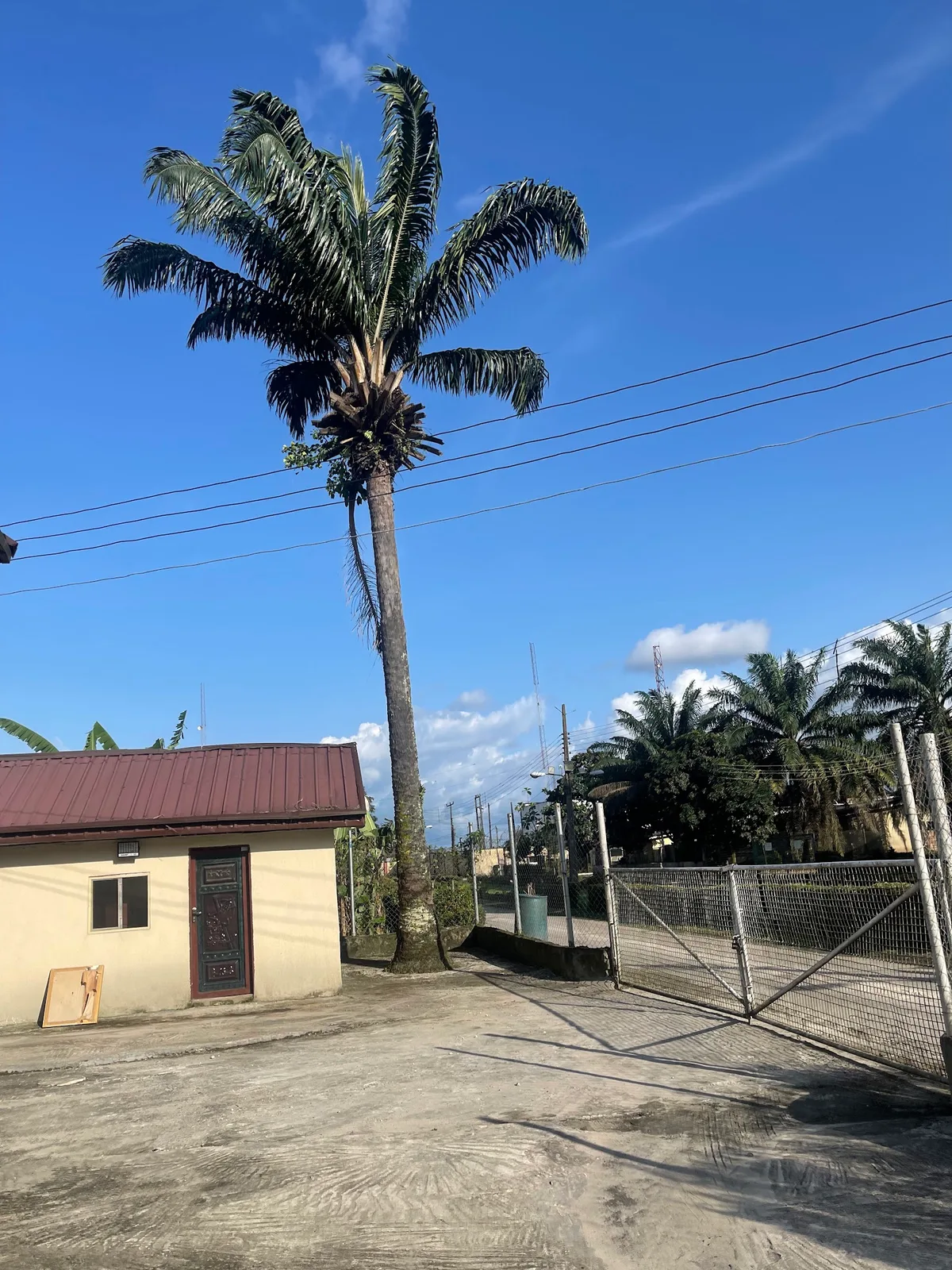 W T Odibo Housing Estate — photo