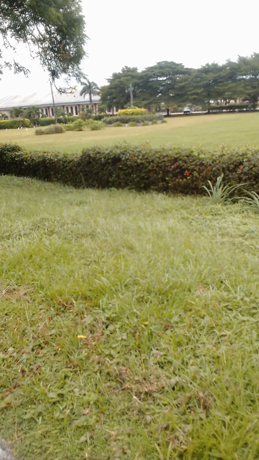 Uniport Choba Campus — photo