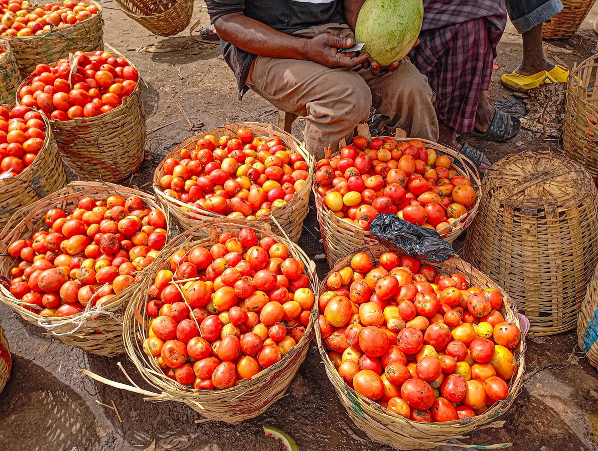 Vegetable markets — photo