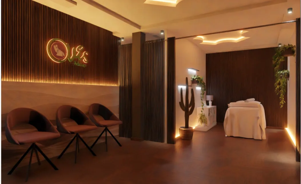 Ovis Massage Exclusive (new location) — photo