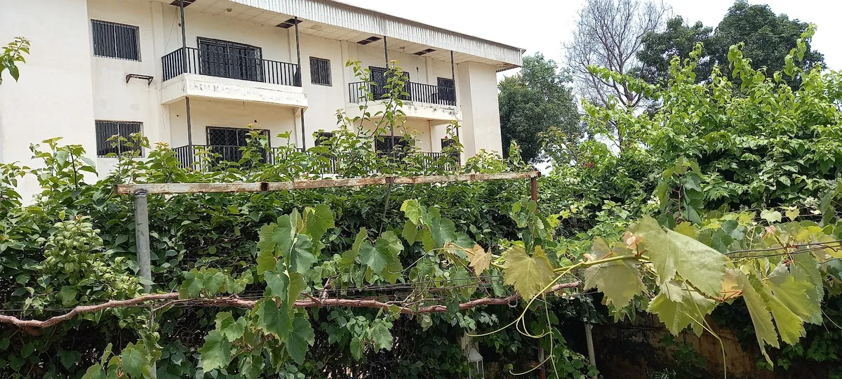 Hassan Estate — photo
