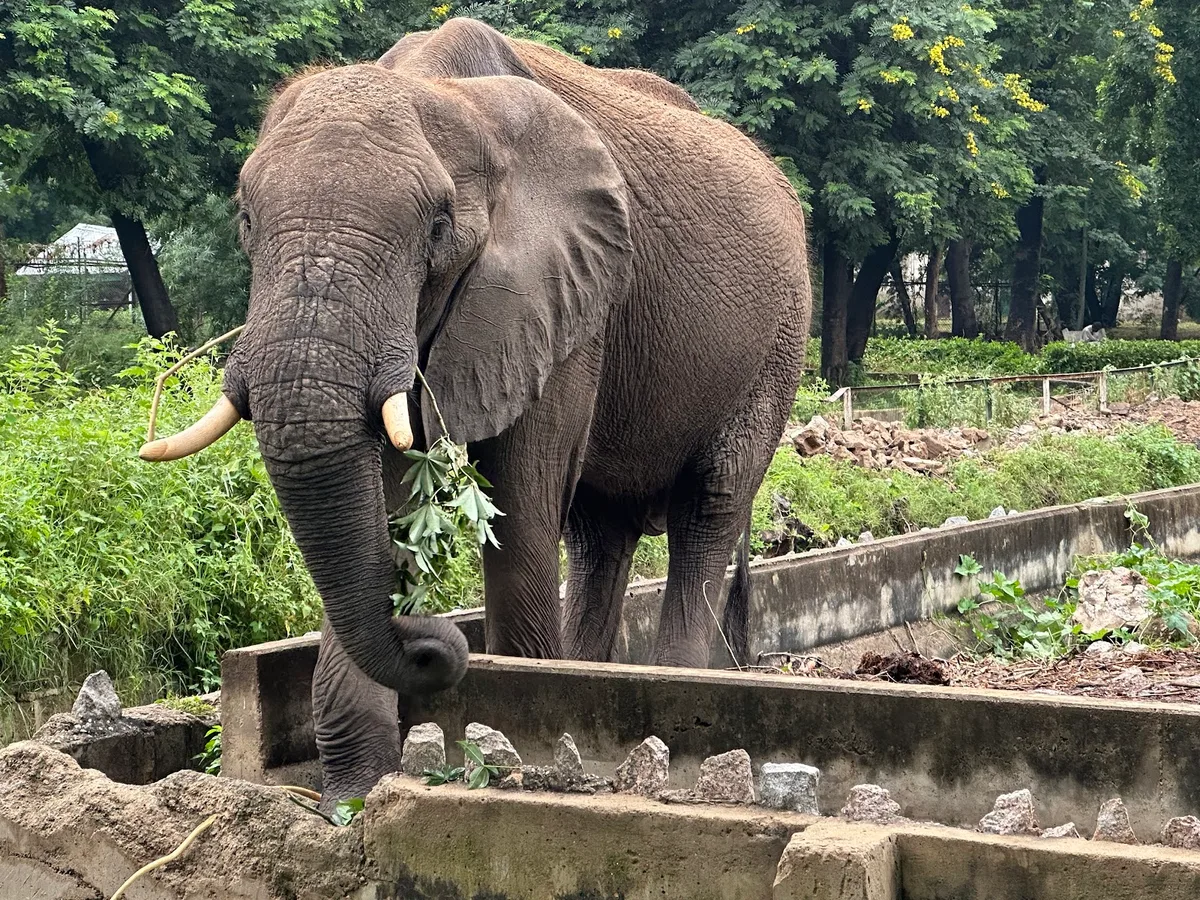 Kano Zoological Garden — photo
