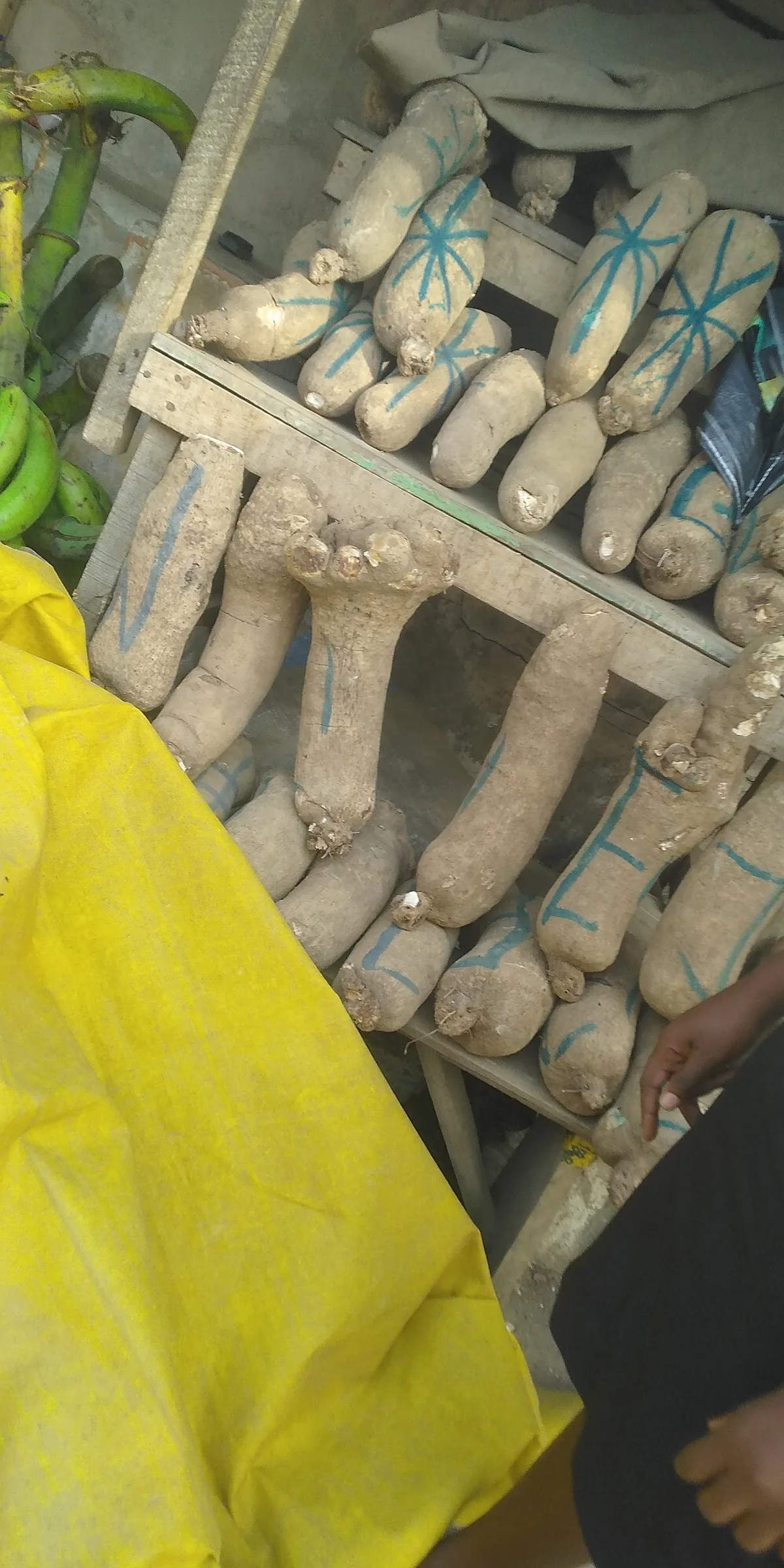 NEPA Foodstuffs Market — photo